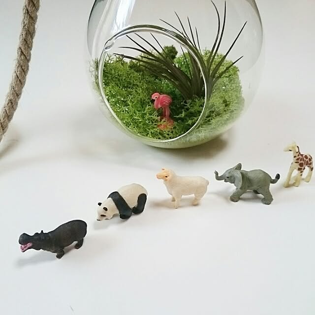 vanillamilkkeitoさんの実例写真