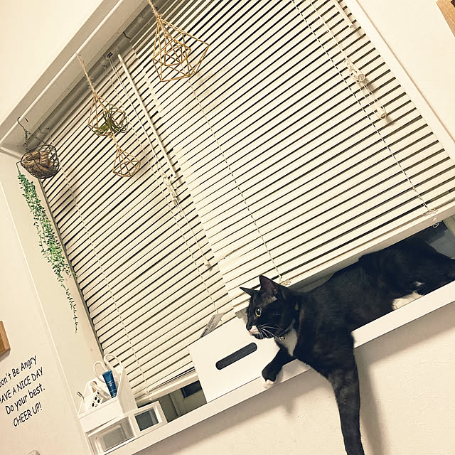 masamasaさんの実例写真