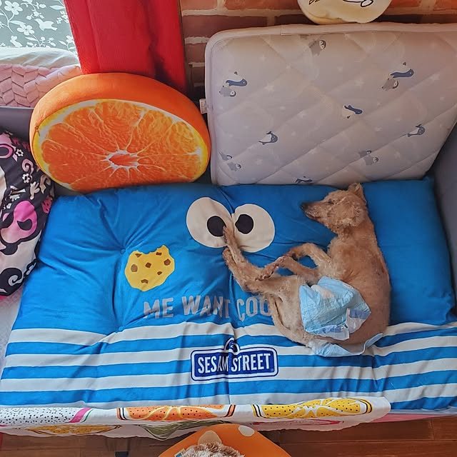 kumutanさんの部屋