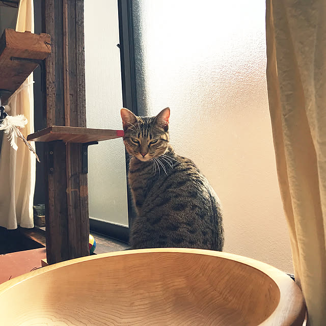 Mさんの実例写真