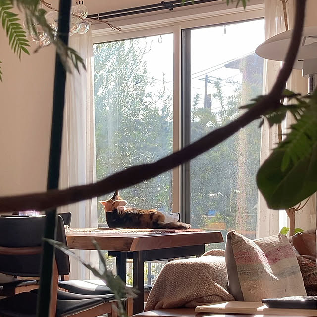 Nahochanさんの部屋