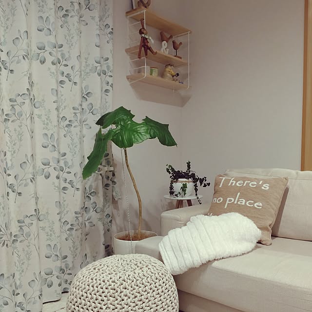 tan5さんの部屋