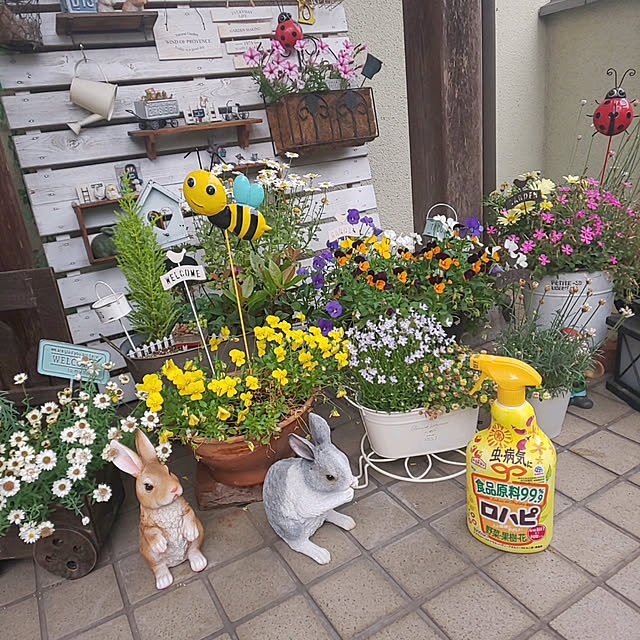 seiko44さんの実例写真