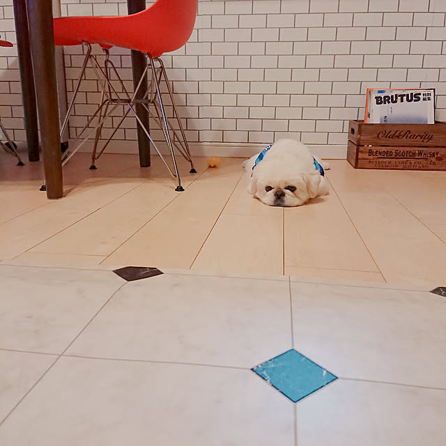 yukagomaさんの実例写真