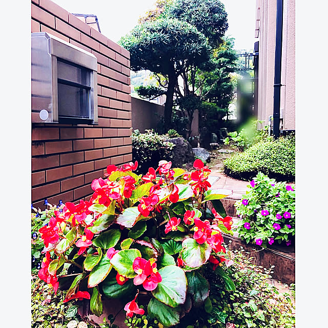 NAOさんの実例写真
