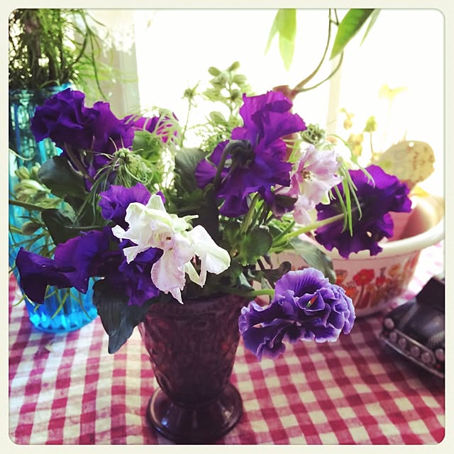 ayaco_cucirinaさんの実例写真