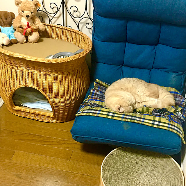 naokoさんの実例写真