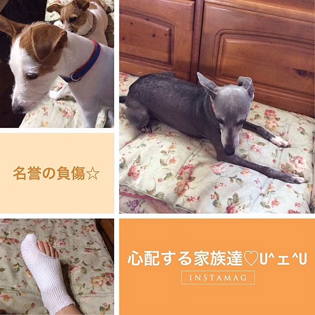 20rose_mamiさんの実例写真