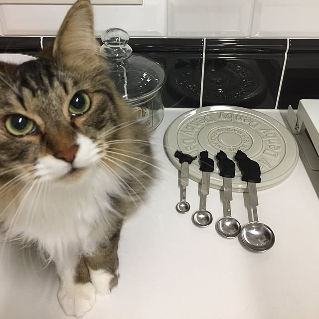 yuchiさんの実例写真