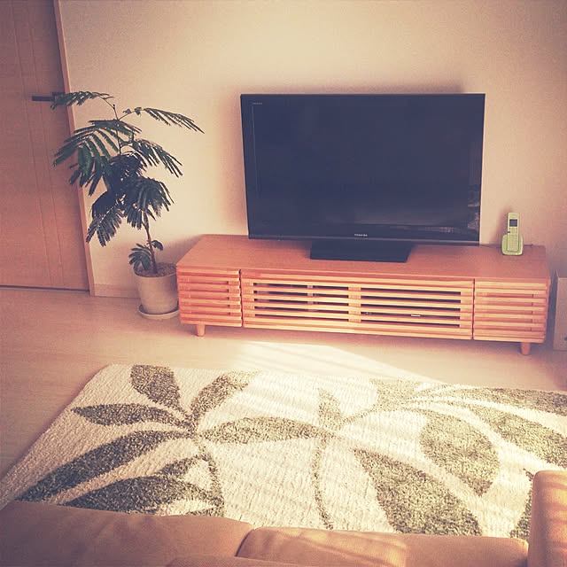 riegonさんの実例写真