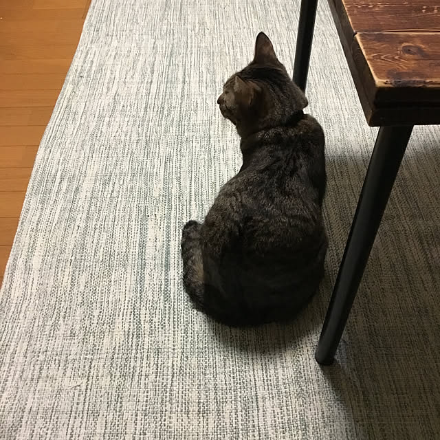 mikan161さんの実例写真
