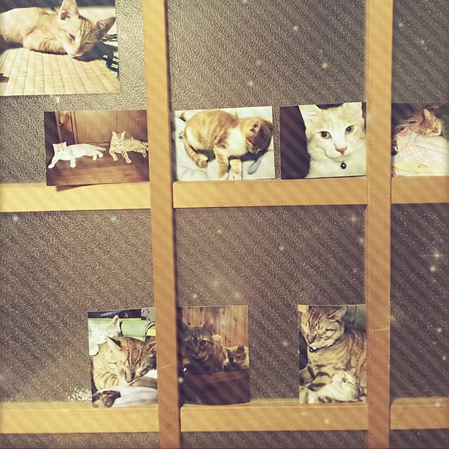 em.chiさんの実例写真