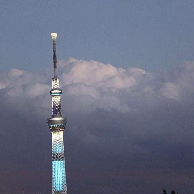Mayumingoさんの実例写真