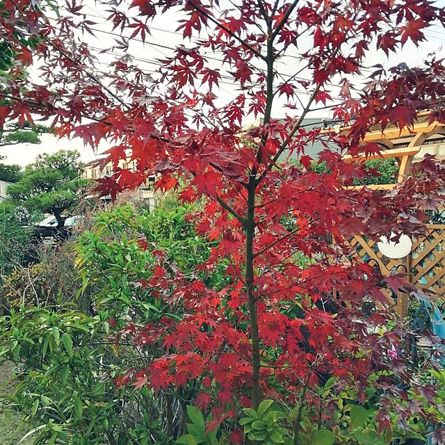 haruiroさんの部屋