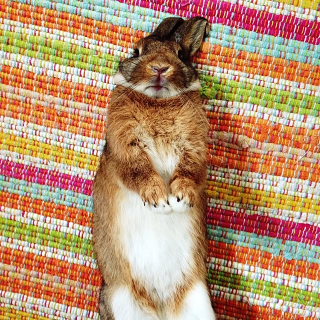 sayukiさんの実例写真