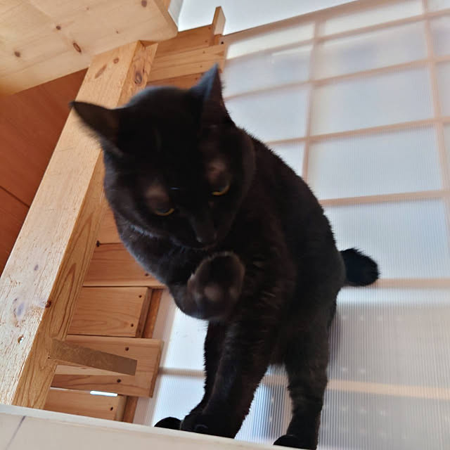 kiyohima229さんの実例写真