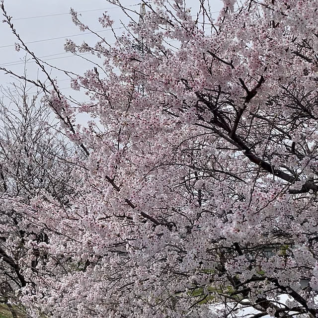 kakoさんの部屋