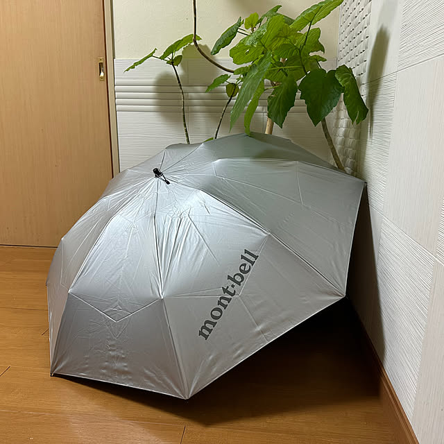 mizucchiさんの実例写真