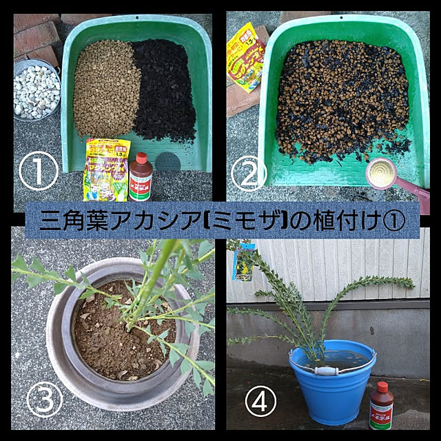 kohmarlさんの実例写真