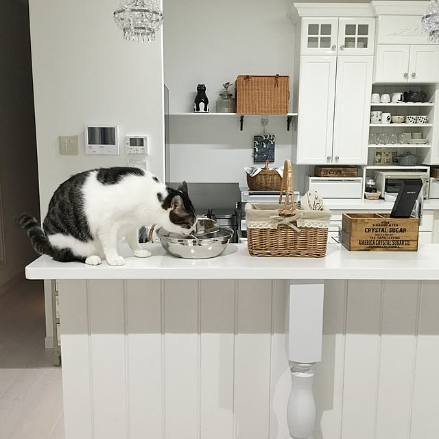 yuchiさんの実例写真