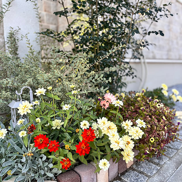 miyu39さんの部屋