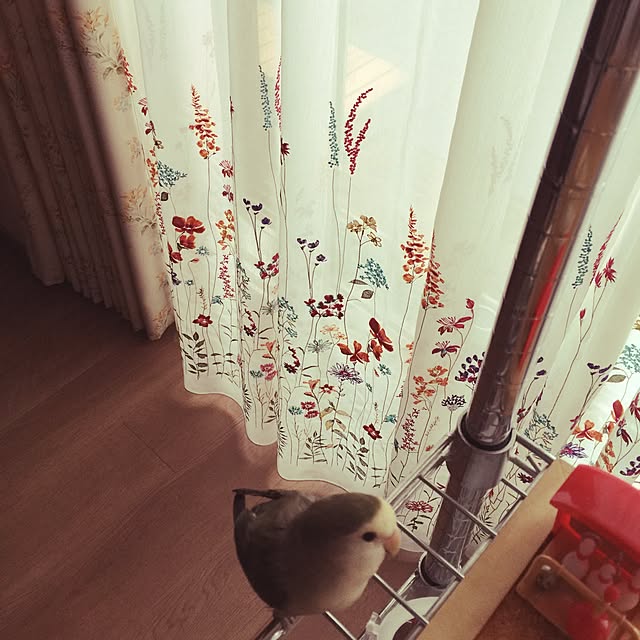 Chicoさんの実例写真