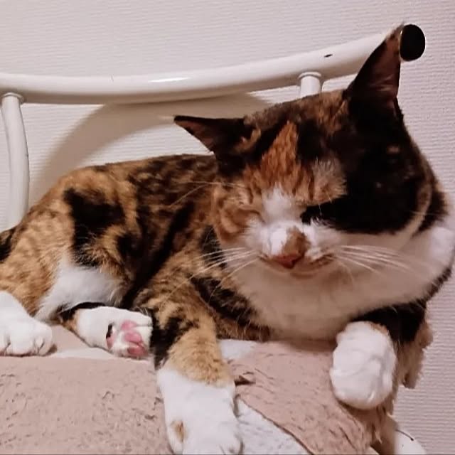 aiさんの部屋
