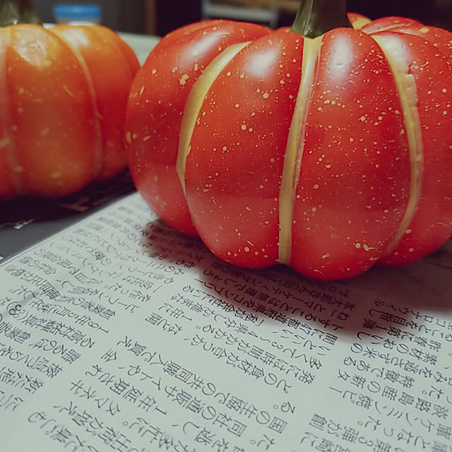 CYNOSさんの実例写真