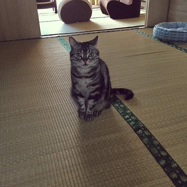 richanさんの実例写真