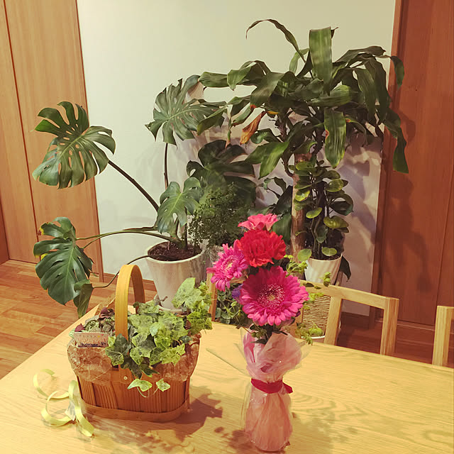 1546さんの実例写真