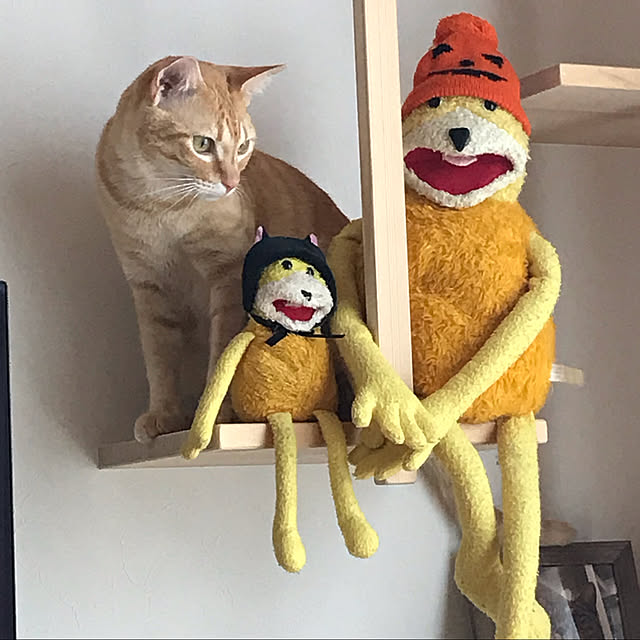 snowさんの実例写真