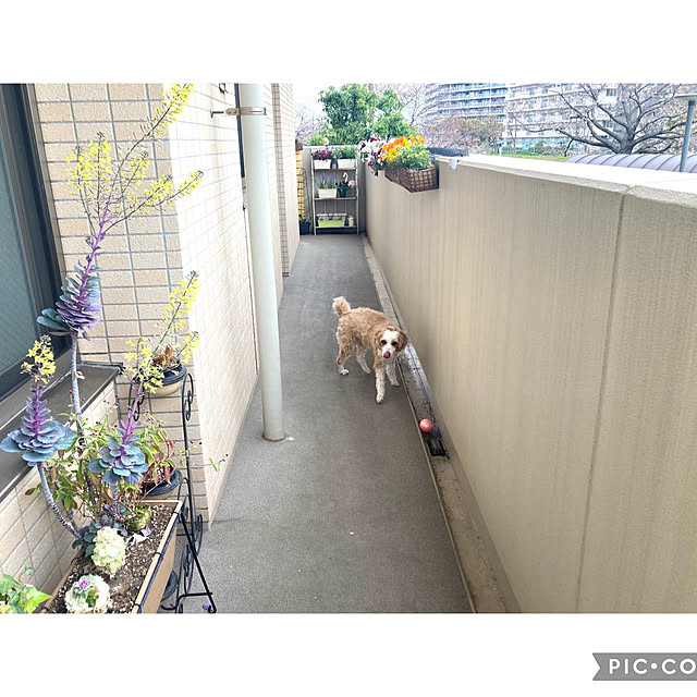 marukoさんの部屋