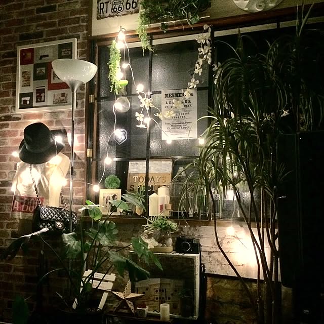 painmomoさんの実例写真