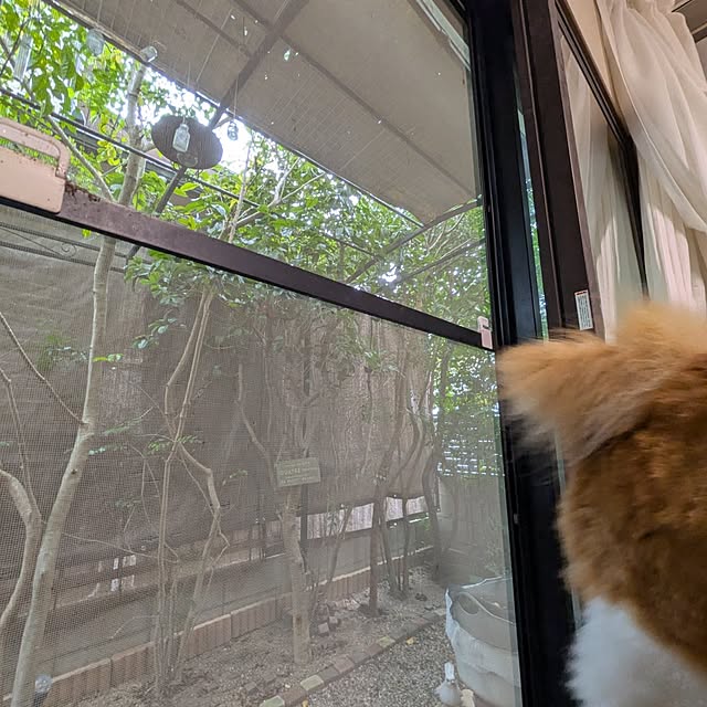 mori_6_12さんの実例写真