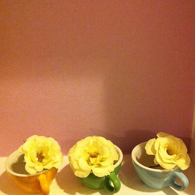 Mrsrerereさんの実例写真