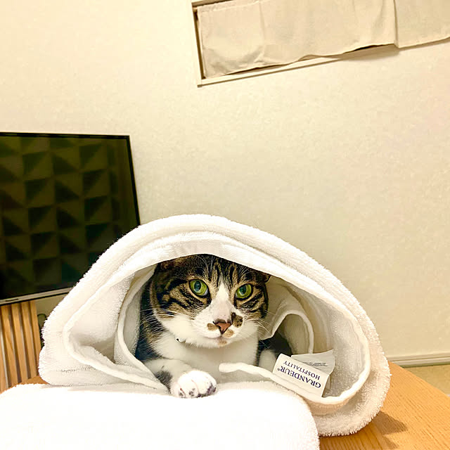 ippu0303Karinさんの実例写真