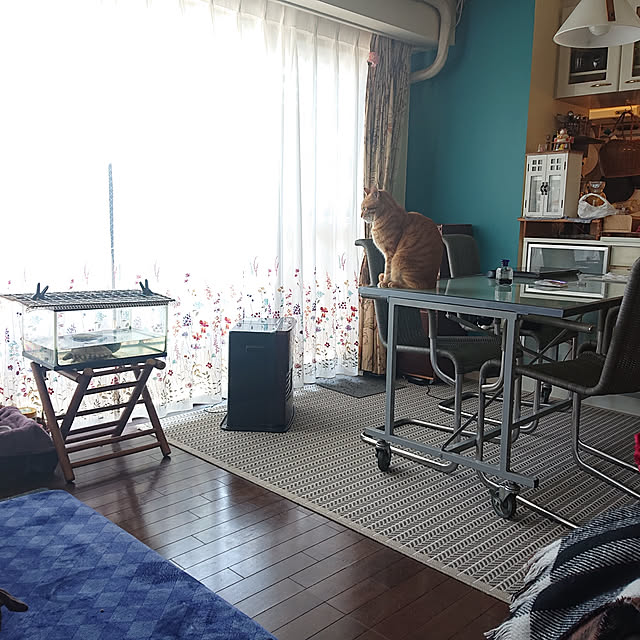 okyosan101さんの実例写真