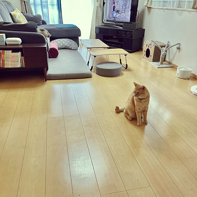 chiiさんの部屋