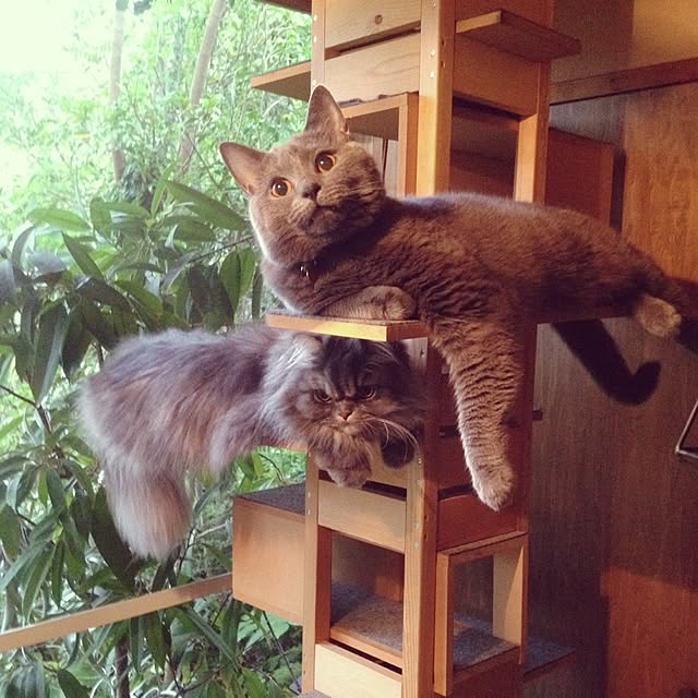 uni0609さんの実例写真