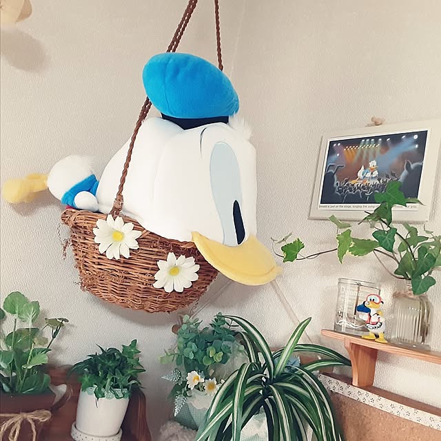 katさんの実例写真