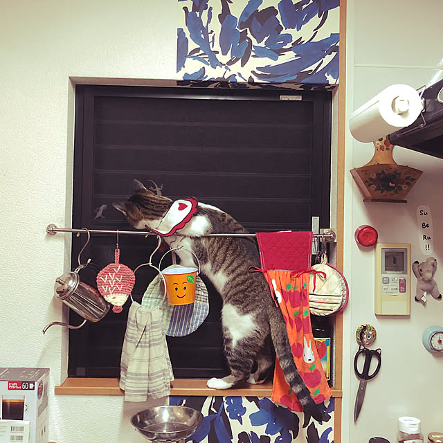 jijiさんの実例写真