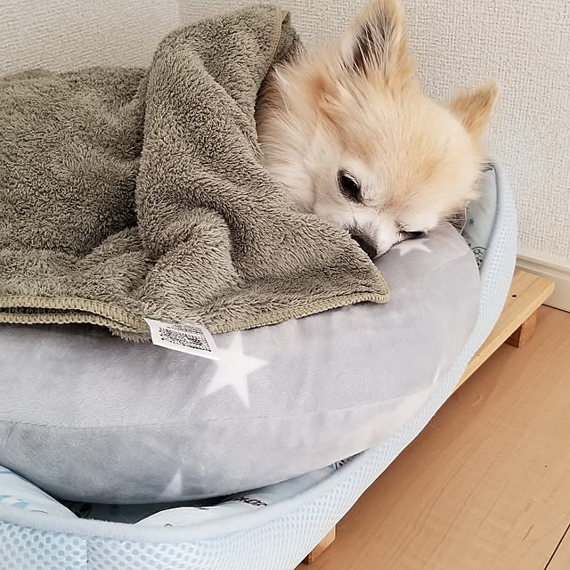 sasukeさんの実例写真