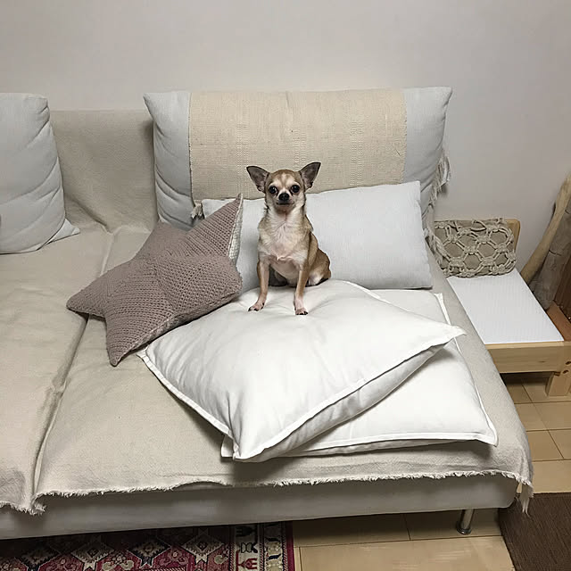namiheeeeyさんの実例写真