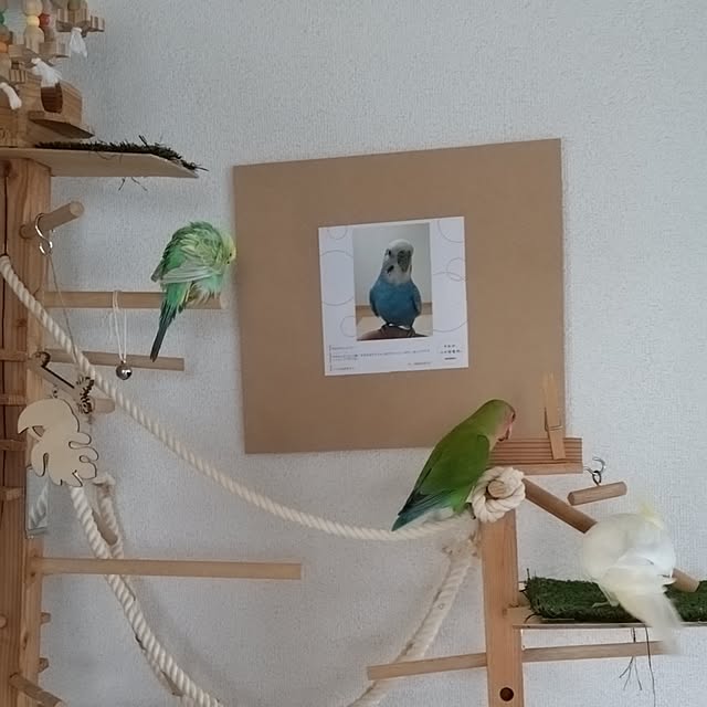 toratanさんの部屋