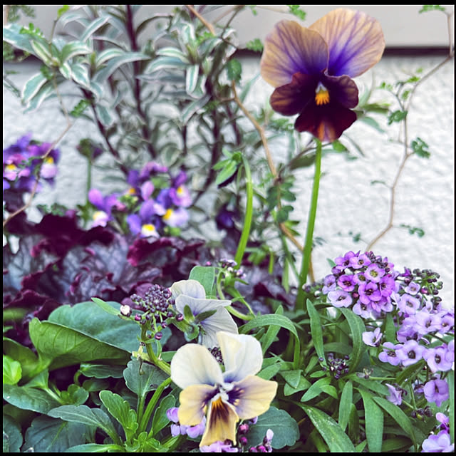 yukarin-gardenさんの実例写真