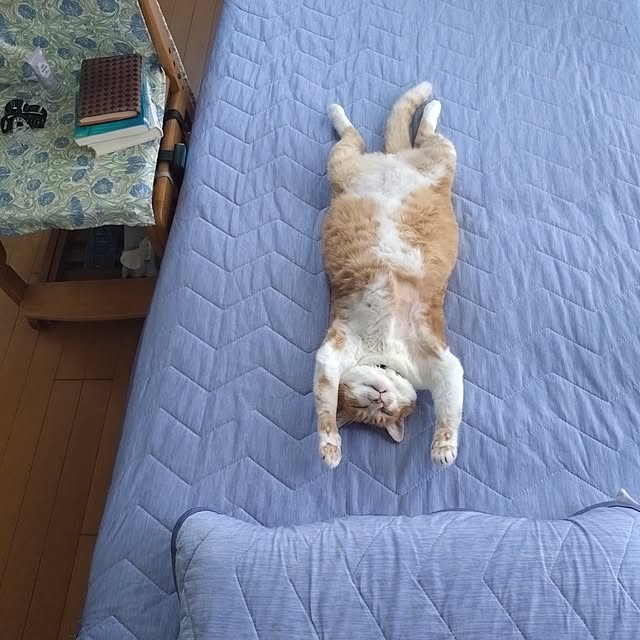 NOAHさんの部屋