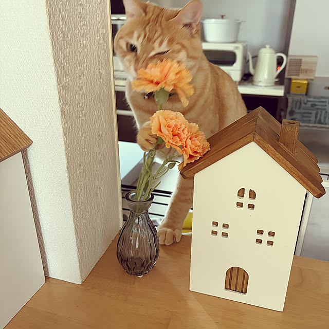 chiiさんの部屋