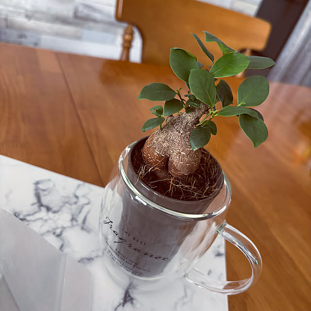 cecil..さんの部屋