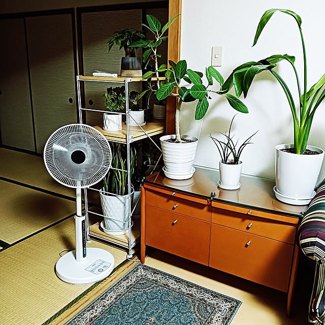hanachanさんの部屋