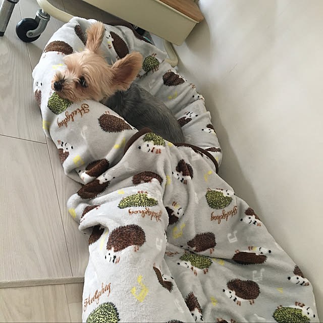 ohanaさんの実例写真